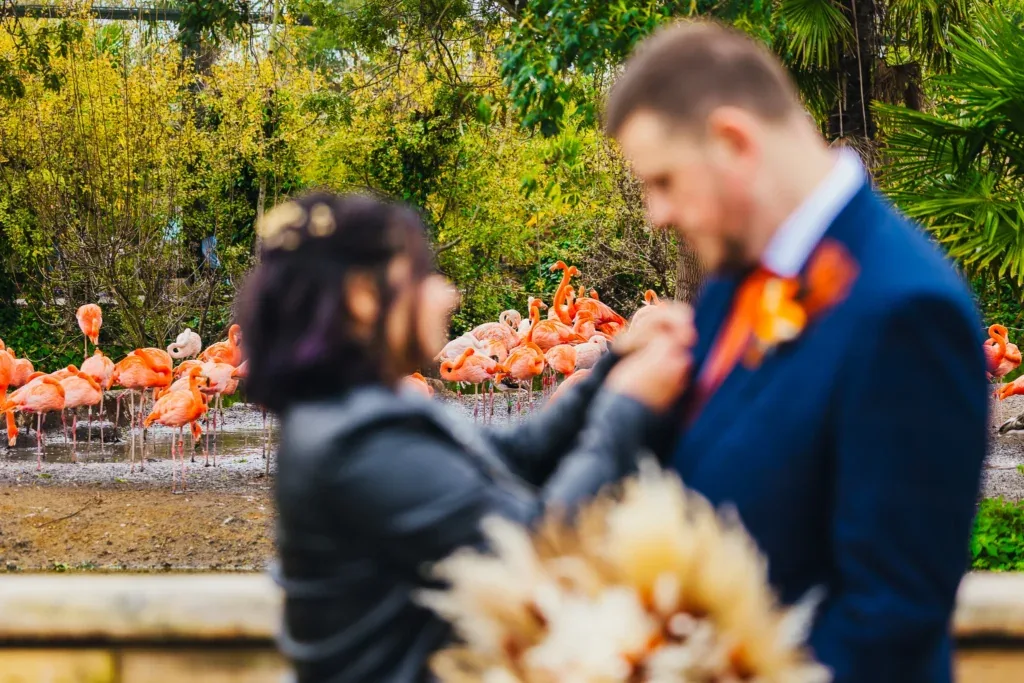 Couple in soft focus in front of a flock of pink flamingos